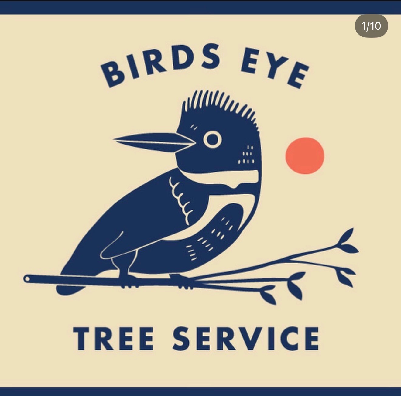 Bird's Eye Tree Service logo